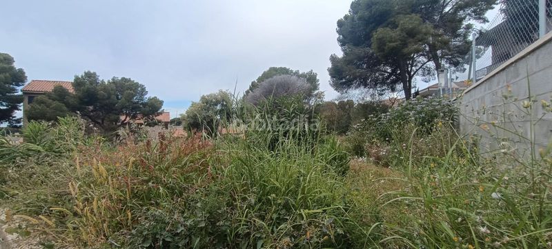 Foto 48efc4ec-10de-45d5-9b43-0aa2e523138e. Finca rústica a Segur de Calafell nucli urbà Segur de Calafell