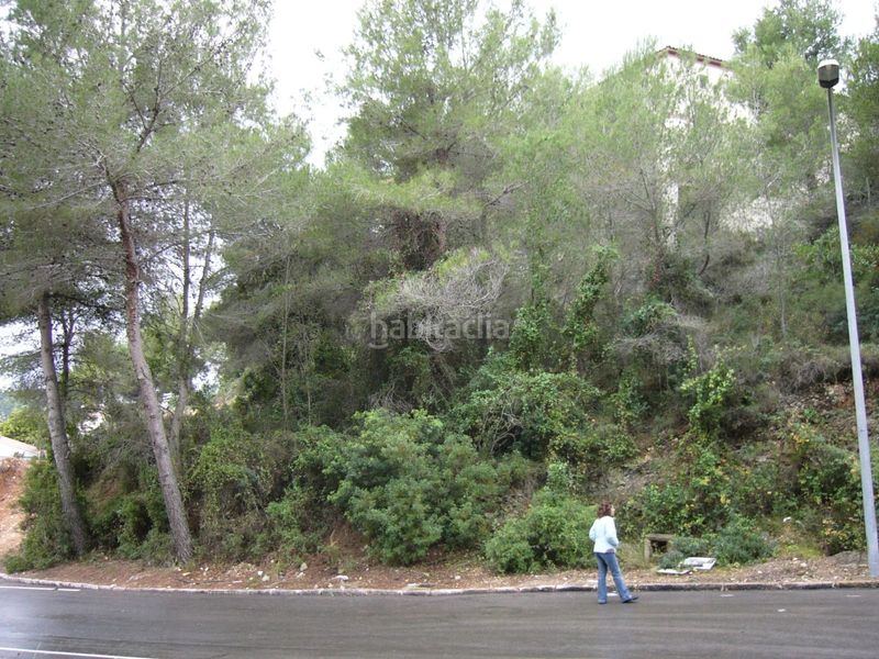 Foto af3648a3-01b8-46fd-8cf5-11d67bc620d6. Finca rústica a costa Cunit - els jardins - els rosers Cunit