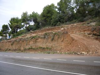 Finca rústica  Gladiol. Parcela urbanizable