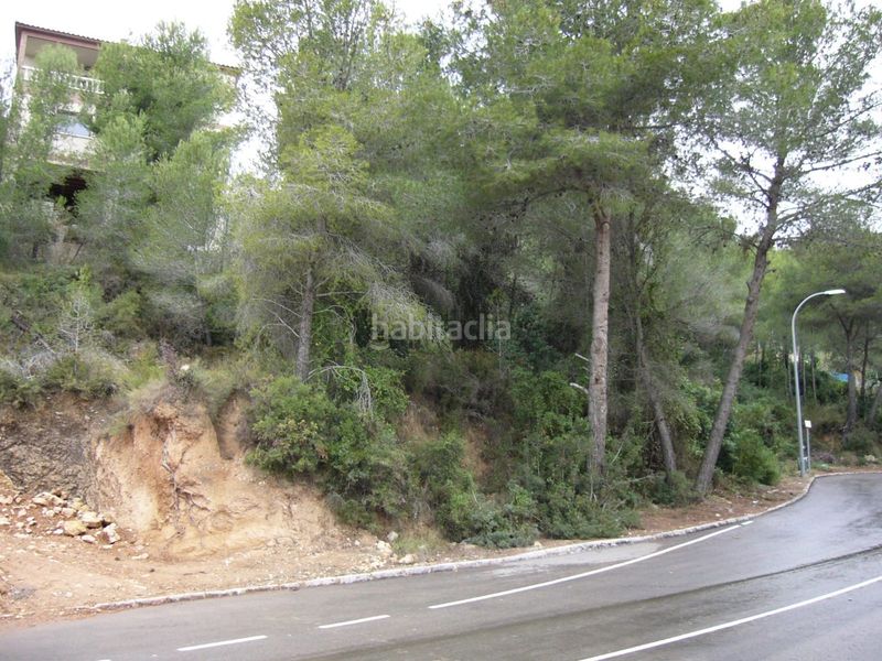 Foto f467a462-90ab-47b5-b15e-d28950c4d041. Finca rústica a costa Cunit - els jardins - els rosers Cunit