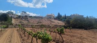Rural plot  Rosa. Parcela para vivienda unifamiliar aislada