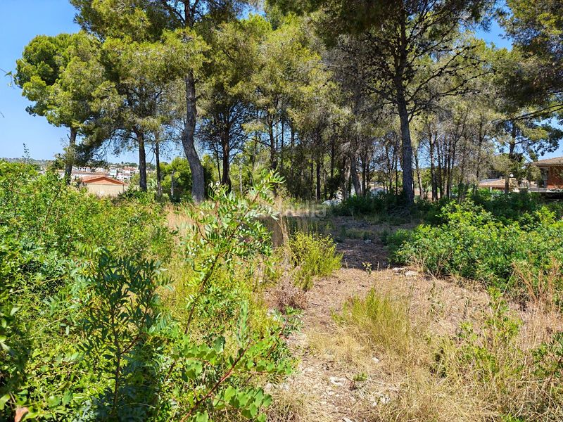 Foto 6c256bcd-6f6e-4965-8e70-72bd62c00344. Finca rústica a Cunit residencial Cunit
