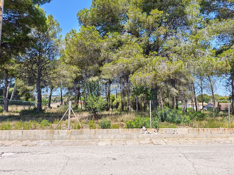 Foto 6f750cd1-2ec7-4d96-af50-77079f64e03b. Finca rústica a Cunit residencial Cunit