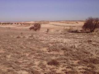 Terreny residencial en Centro