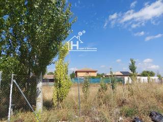 Terreny residencial a La solana 344 d. Parcela en trijueque, llana, situada en límite zona urbana