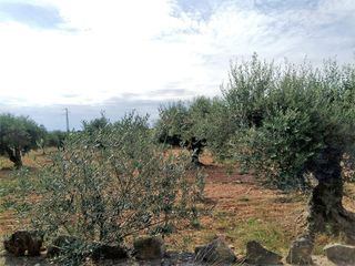 Terreno residenziale  Partida baiona