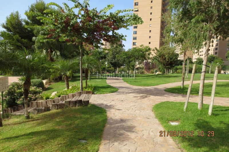 Foto 5434a69b-adc8-4124-9636-c0bf3e229ce9. Pis amb piscina a Playa Poniente Benidorm