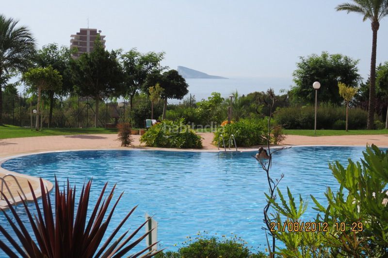 Foto e334c324-09b4-4e4d-8f30-9aeff32b3e12. Pis amb piscina a Playa Poniente Benidorm