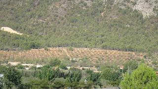 Residential Plot in Polop. Se venden parcela rustica en polop
