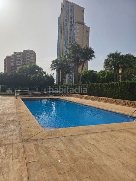 Foto 53f2d004-4919-469f-b40e-746658f12b6c. Pis amb calefacció piscina a Playa Poniente Benidorm