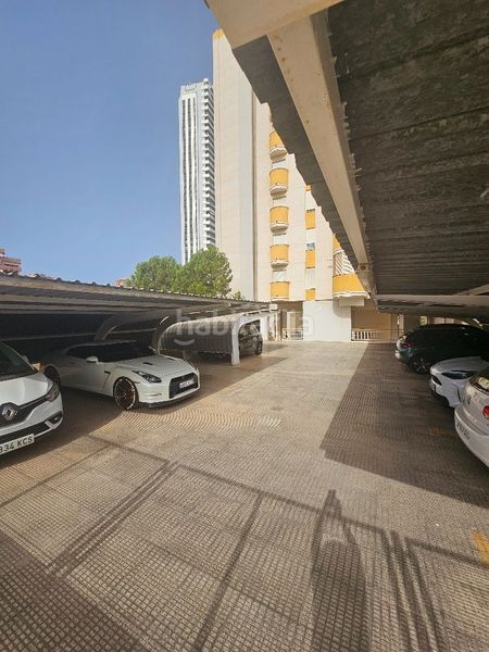 Foto be50592a-7b32-4f1b-b2b9-18deec5bb572. Pis amb calefacció piscina a Playa Poniente Benidorm