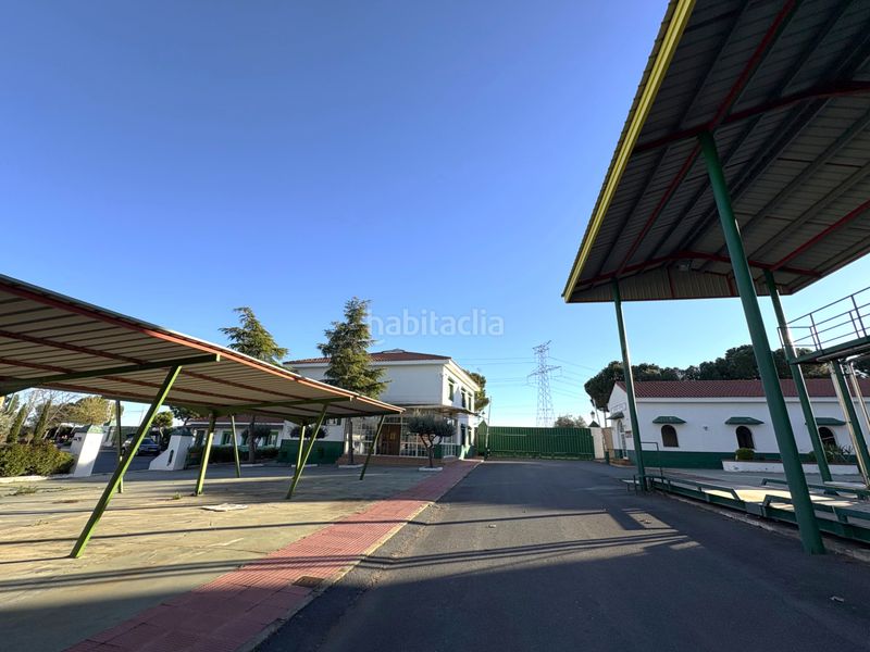 Foto be032336-7db6-4580-aa75-9cbfa41bcefe. Nau industrial a Cedillo del Condado