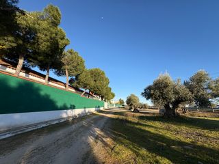 Fabrikhalle  N/a. Almazara en pol�gono industrial de yuncos, toledo