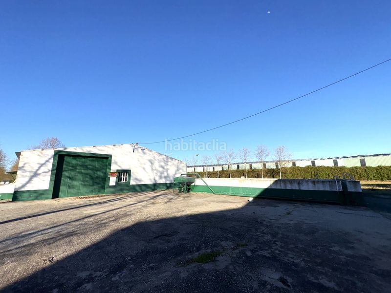 Foto 12f94227-9db6-4b7e-a36f-c0c4c3481457. Solar industrial a Cedillo del Condado