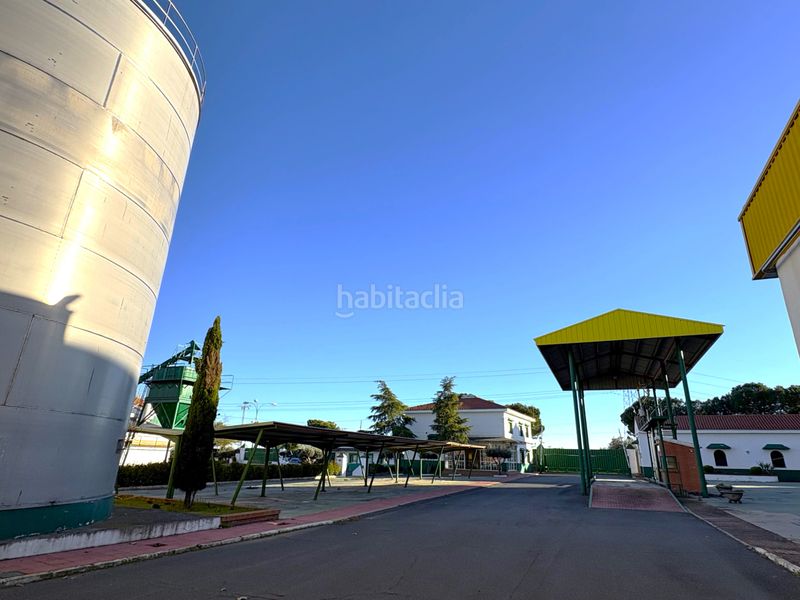 Foto 46940df0-30e8-490f-ab06-afb98ab374a4. Solar industrial a Cedillo del Condado