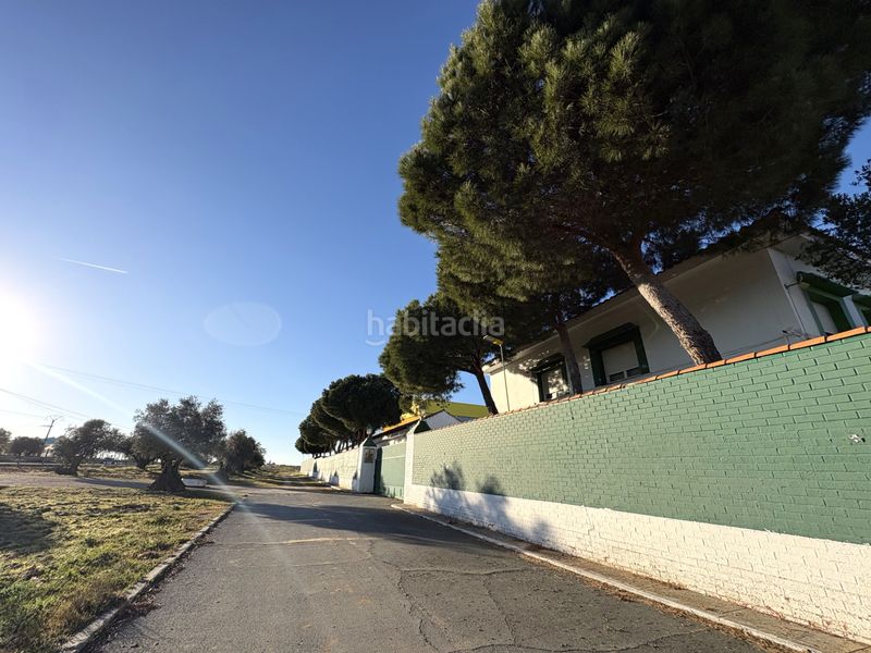 Foto 48a376c7-3607-49c5-9c7f-7aa4fb934cd8. Solar industrial a Cedillo del Condado