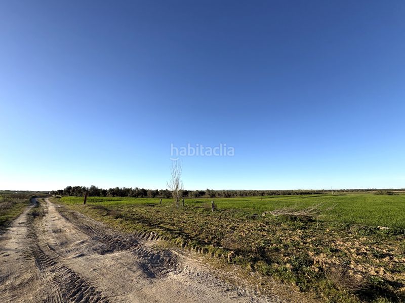 Foto 4bda9243-ae5a-41b9-831d-7cc5bf722f23. Solar industrial a Cedillo del Condado