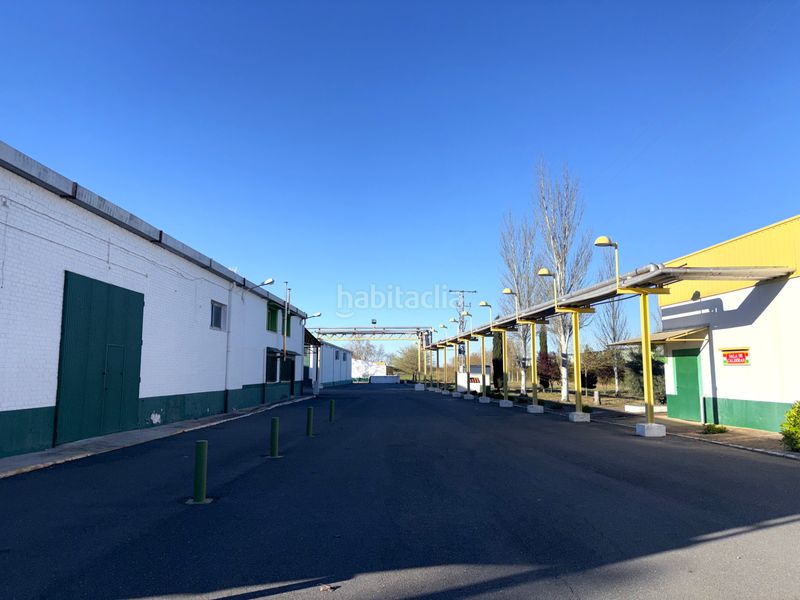 Foto 5d154aa0-7d4f-473e-b905-30aa64f5289b. Solar industrial a Cedillo del Condado