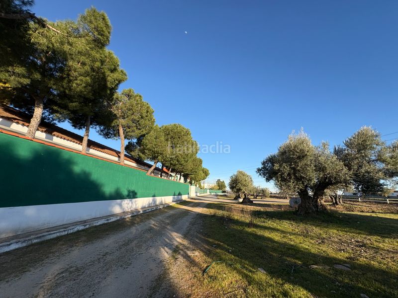 Foto 66413afb-d574-4b76-98ee-d61375c3e9e3. Solar industrial a Cedillo del Condado