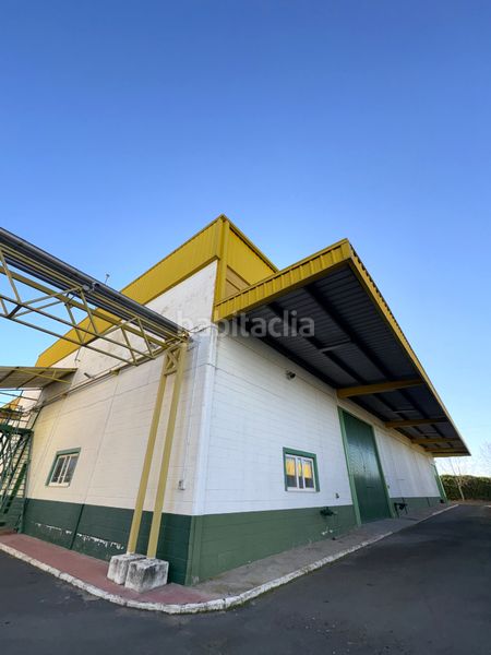 Foto 72f657a3-01c4-490d-b507-a7b1ec9e3430. Solar industrial a Cedillo del Condado