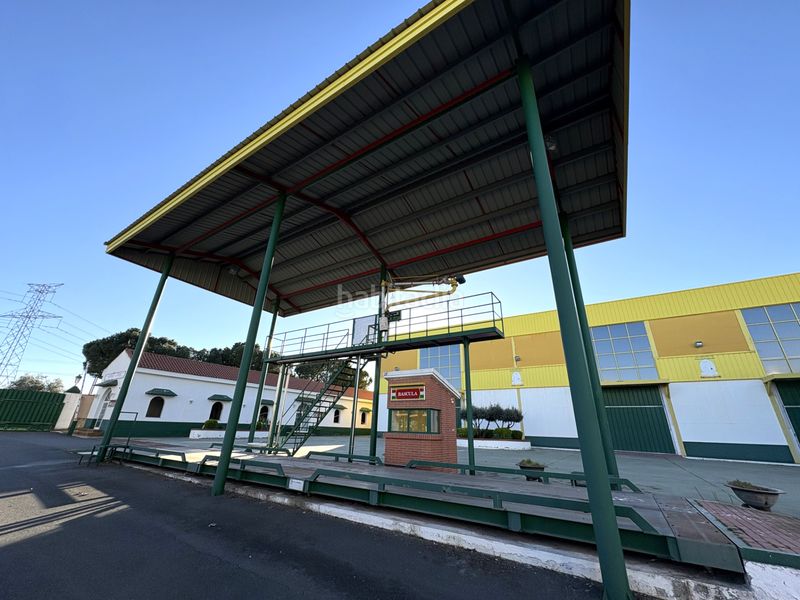 Foto dc6a0a22-f1ec-496a-ae74-33e9705ad8e4. Solar industrial a Cedillo del Condado