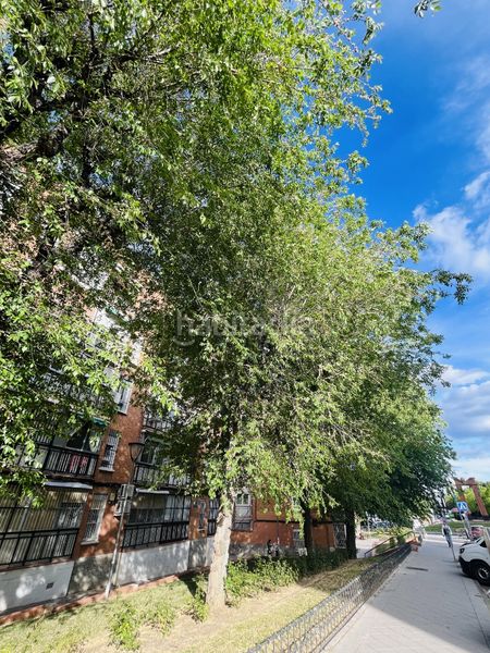 Foto 330a76b7-97c5-4518-af6e-4ba8ccc34b7a. Pis a Descubridores-Escritores Leganés