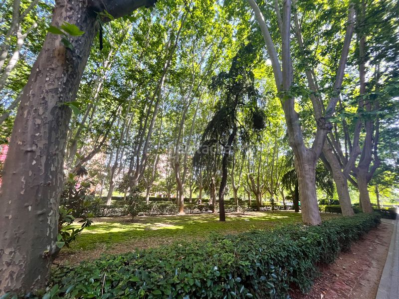 Foto 9308a74f-cdbf-4d8e-8301-d6f568525466. Local comercial a Acacias Madrid
