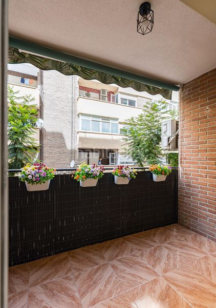 Foto 4b2fce3e-31a8-4954-be1d-66549f90f1f9. Pis a Centro Molina de Segura