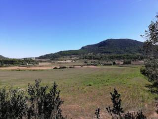Finca rústica a Algaida. Terrenos en venta en algaida zona randa.