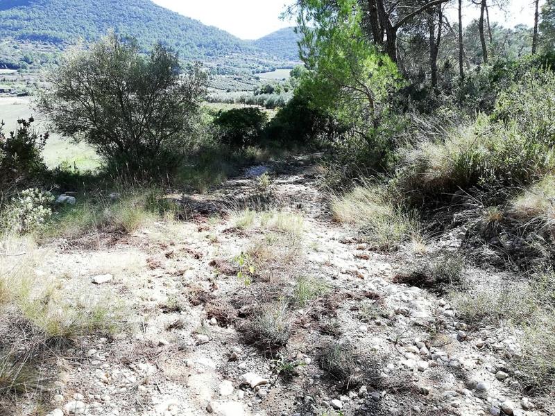 Foto 7cf0186a-4327-483d-940f-65b6f22f8fc7. Landgut in Algaida