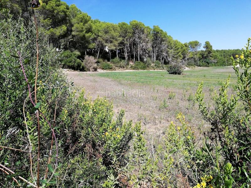 Foto 821f91b5-92ad-49e1-9b92-738d167da8c0. Landgut in Algaida