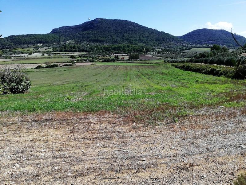 Foto cbb57c46-7ff7-49f6-b629-92e7a63c9c63. Landgut in Algaida