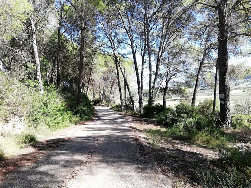 Foto d5fb54d5-e2b0-4c49-95a8-2de4fe288b48. Landgut in Algaida