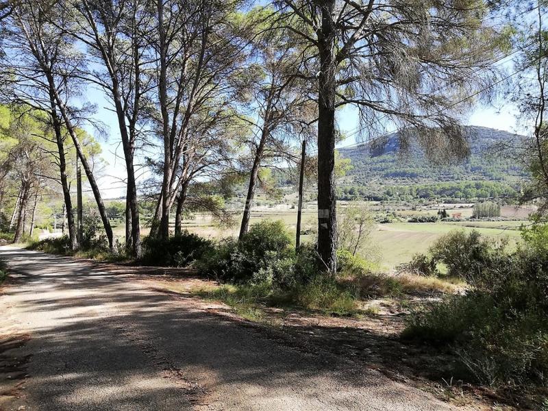 Foto d9d8b139-2415-4386-a372-5eda35b99714. Landgut in Algaida