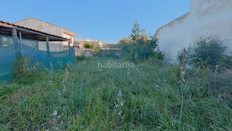 Foto a83d1afe-7872-4404-84a4-a0eccb2e3d20. Finca rústica a S´Estanyol Llucmajor