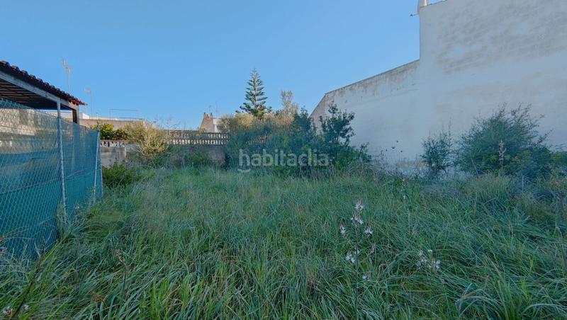 Foto e938539f-f839-4a0f-a4a8-62556ce8f650. Finca rústica a S´Estanyol Llucmajor