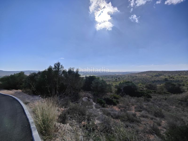 Foto 0802370d-f334-482c-8708-99a8b91d99c1. Finca rústica a Sant Jordi Palma de Mallorca