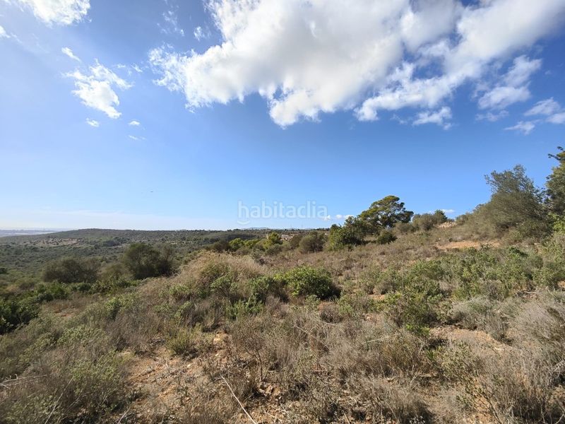 Foto 0af84d17-0d0c-4982-bfcd-8e95ed470945. Finca rústica a Sant Jordi Palma de Mallorca