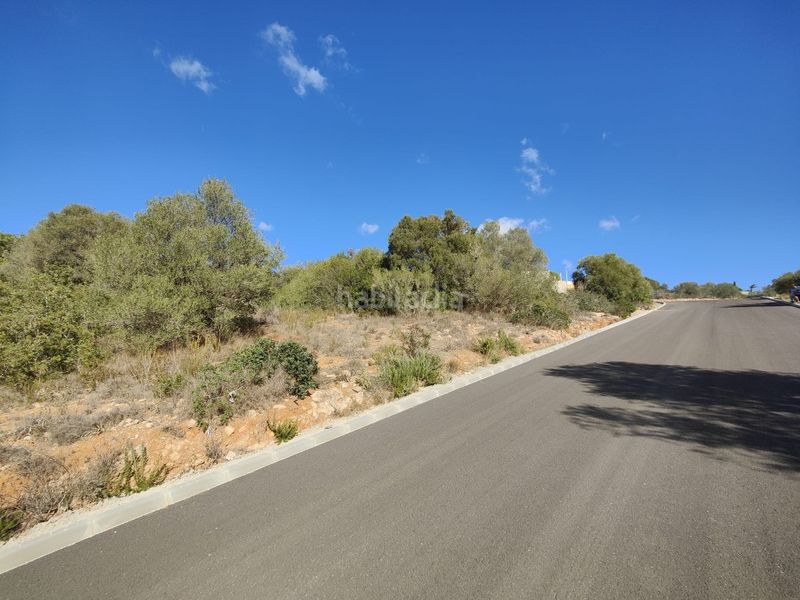 Foto 3b0f0e63-de8d-46b0-91ac-52cf7c4fbaf0. Finca rústica a Sant Jordi Palma de Mallorca