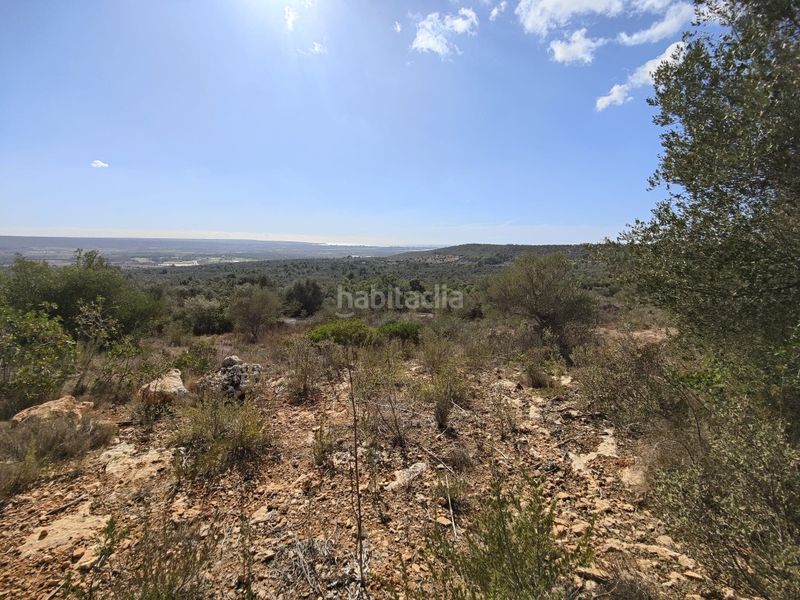 Foto 90f64178-ca06-431c-a8a3-f0d23756ceb6. Finca rústica a Sant Jordi Palma de Mallorca