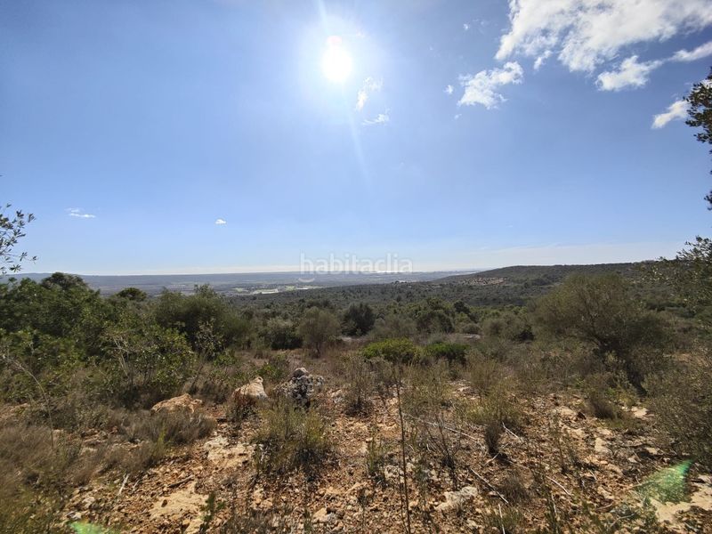 Foto ad33accf-f6af-41ca-940d-e33c10b3ed12. Finca rústica a Sant Jordi Palma de Mallorca