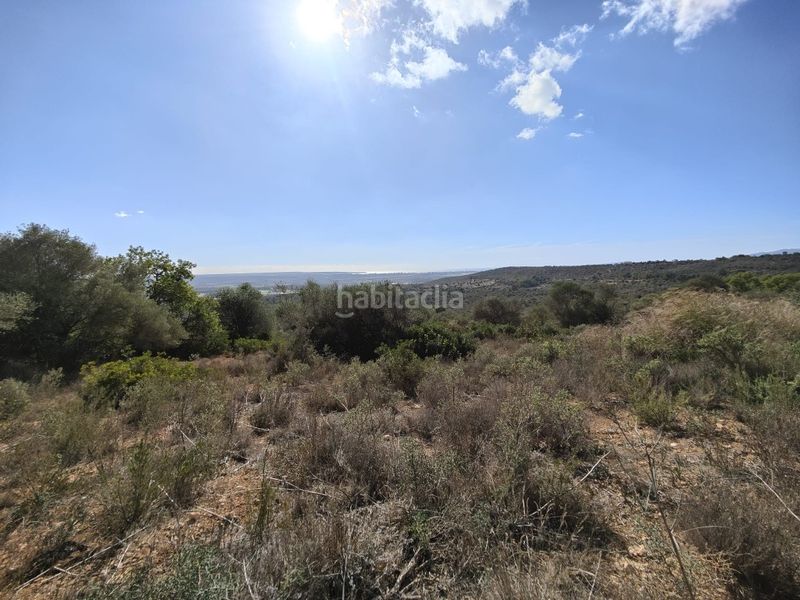 Foto b6520436-da27-40e4-be4d-ea2b2591a0fc. Finca rústica a Sant Jordi Palma de Mallorca