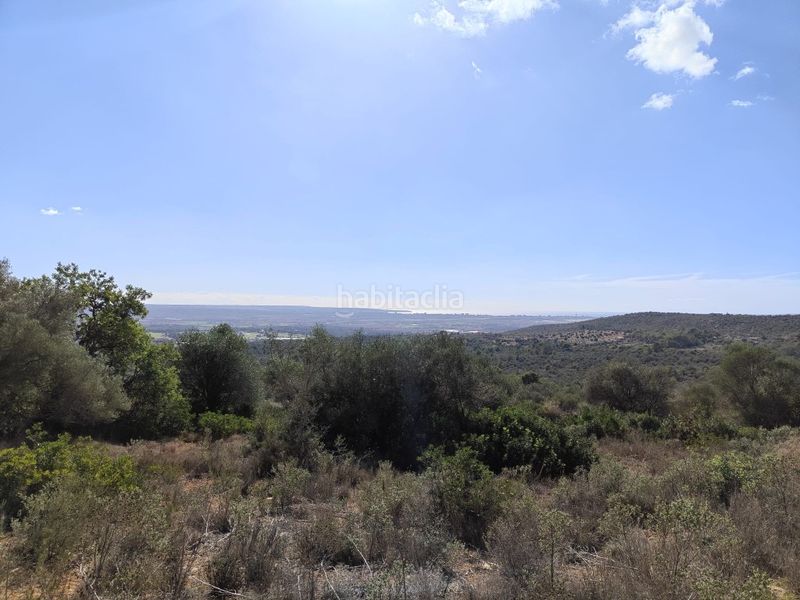 Foto fdb0d228-bb73-44ce-941d-4f79ae63781a. Finca rústica a Sant Jordi Palma de Mallorca