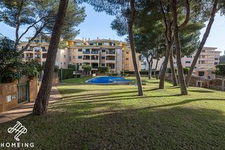 Pis a Maioris-Puig de Ros