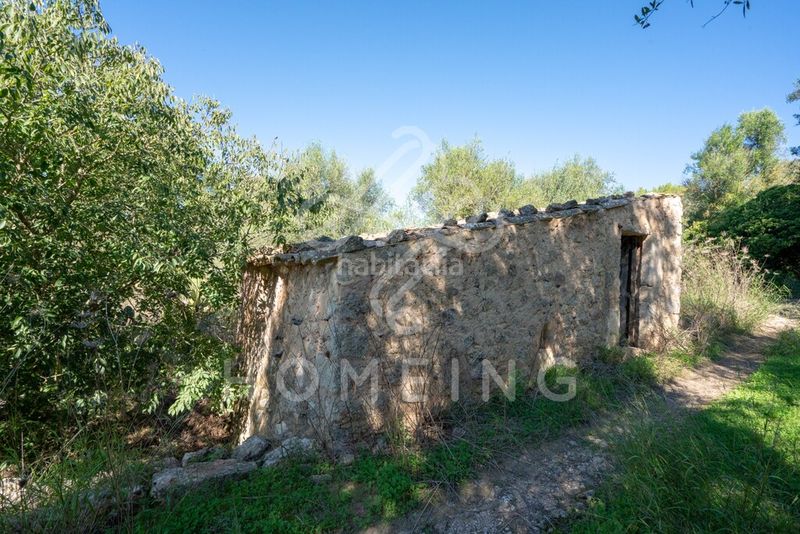 Foto 043540c2-194f-4dc8-af1c-e13488294c6d. Masia a Costitx