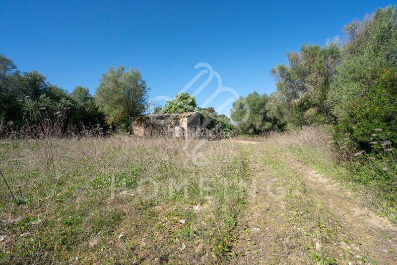 Foto 0adcd788-e330-4ed2-b655-069800ffa2a7. Masia a Costitx