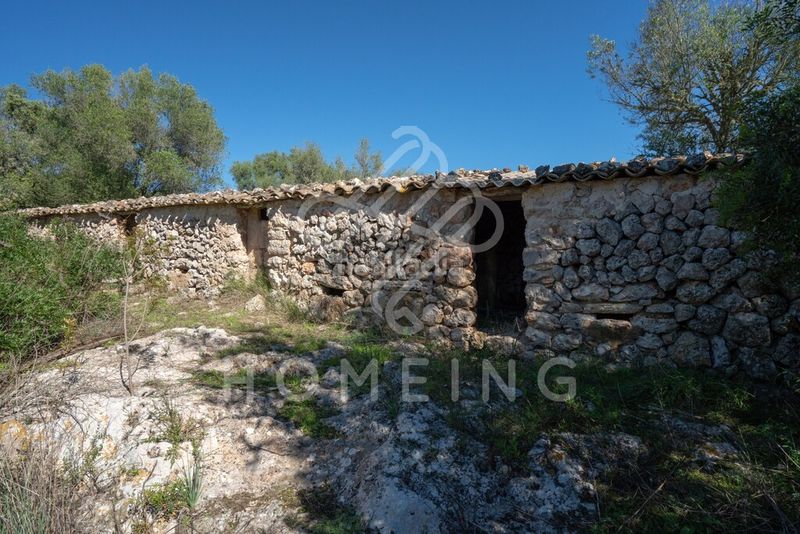 Foto 0ce8a4ee-02ef-4e4c-883c-483ba0272f96. Masia a Costitx