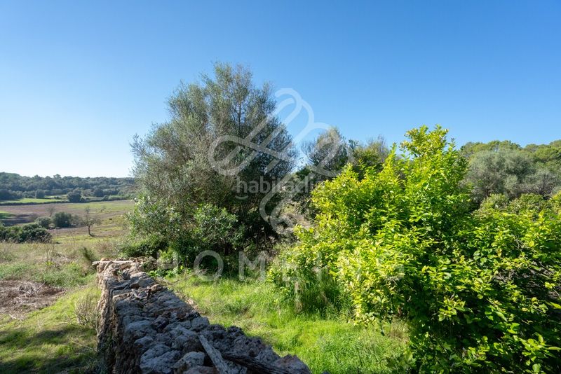 Foto 2eb331f6-ba9b-408d-8aff-0f29f8182b3d. Masia a Costitx