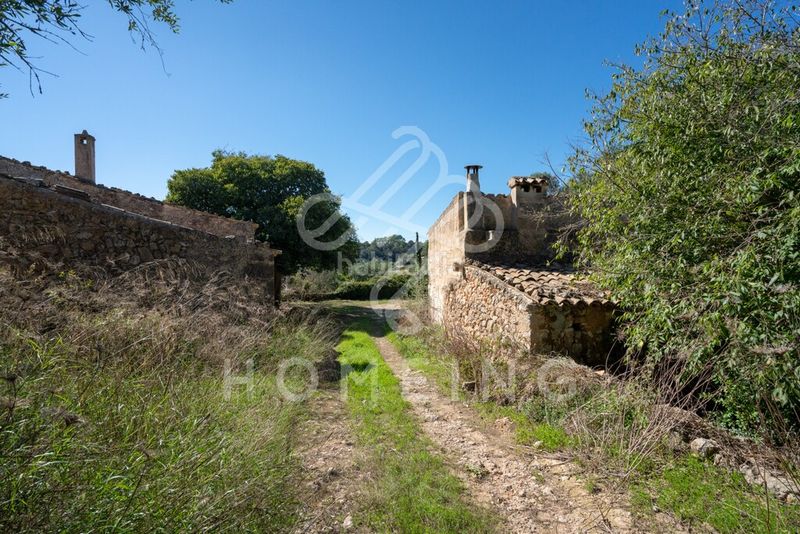 Foto 4756b2c0-49e9-4c90-b698-6e1e5e0cac65. Masia a Costitx