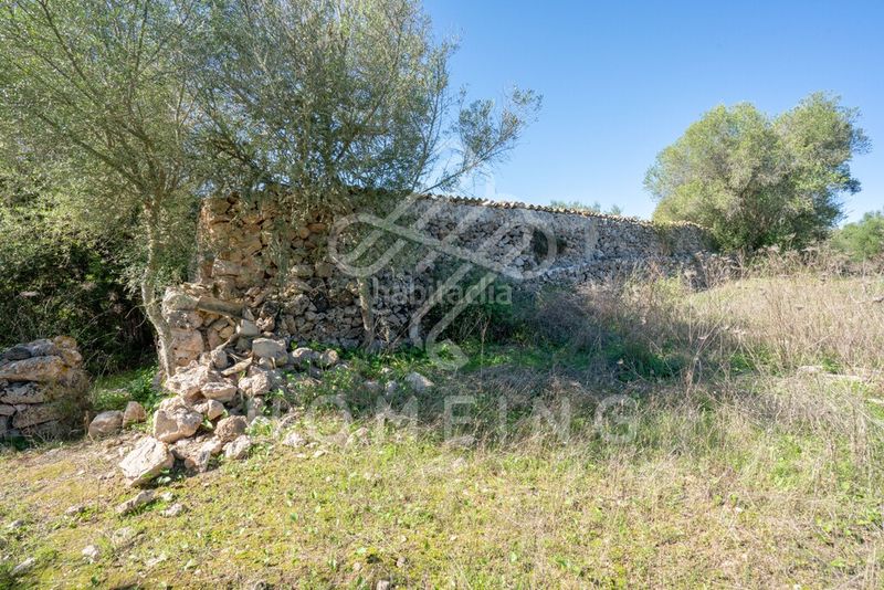 Foto 54bf42c0-2527-4398-b058-2ebdc145a9ab. Masia a Costitx